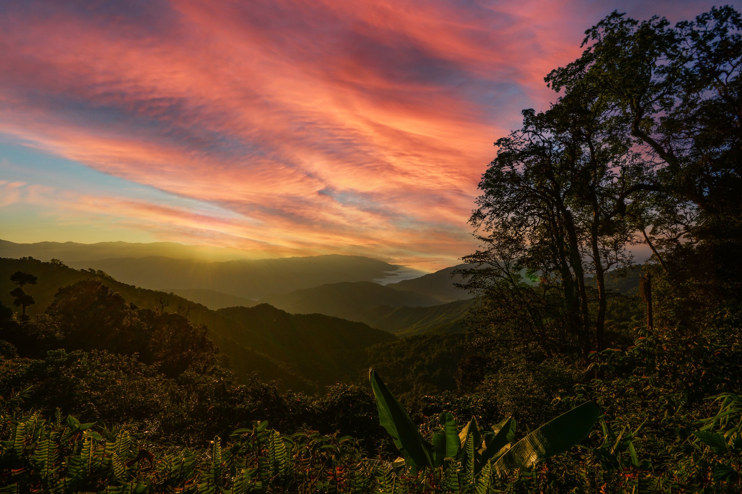 nature sunset background